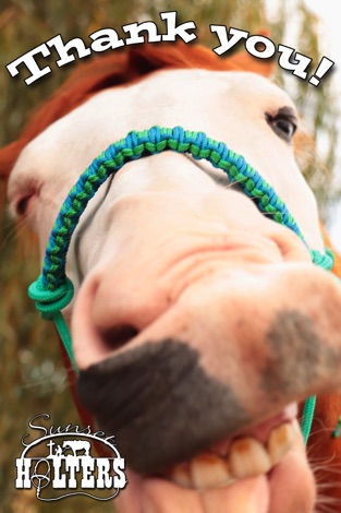 free, giveaway, split reins, yacht braid, slobber straps, quick change, American made