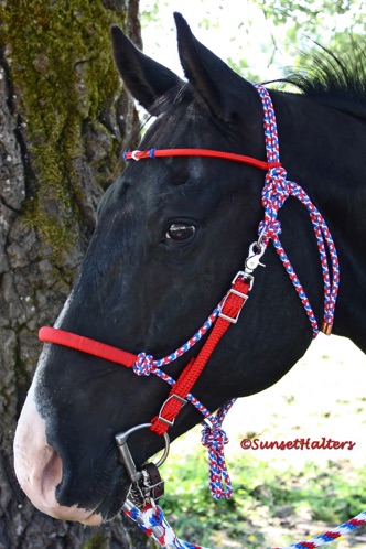 Sunset Halters, natural horsemanship, training, rope halter, halters, diamond braid, halter, bridle, halter bridle, rope halter, trail riding, American made