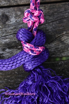 rope halter, lead rope, fisherman's knot
