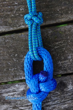 rope halter, lead rope, lariat knot