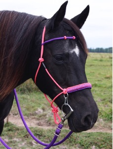 Hope Rope Halter, halter, bridle, rope, chairty, halter cord