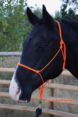 accessory cord, rope halter, rope halters, halter