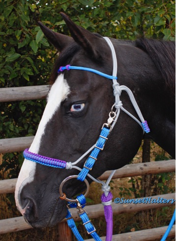 yacht braid, rope, rope halter, halter bridle, trail riding, trail bridle