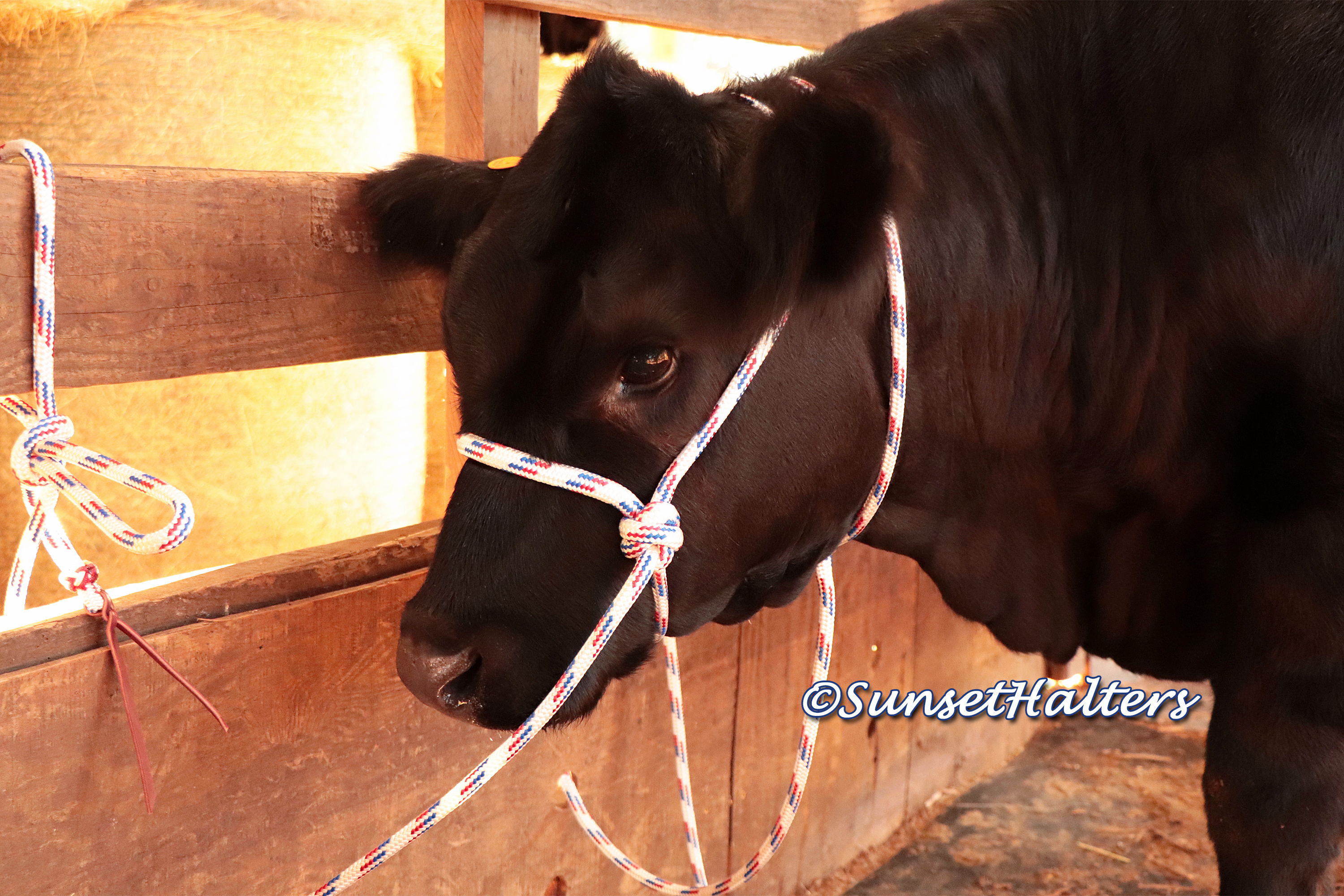 6mm Cow Halter Horse Halter Cow Lead Horse Rope Cow Rope 6ft Hay Twine Red Blue 