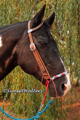 Indian Hackamore, Indian, Hackamore, hack, yacht braid, singe ear, headstall